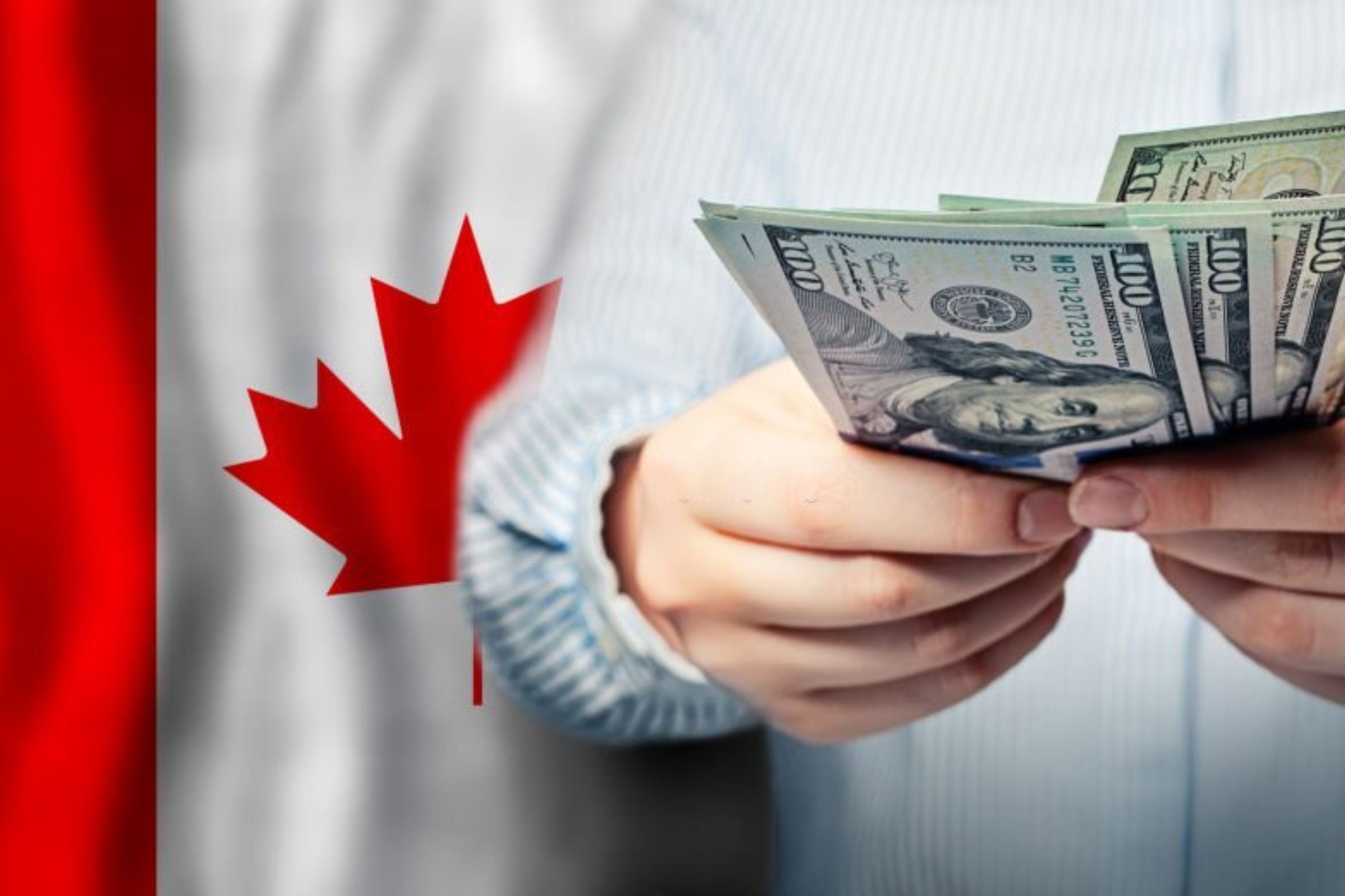 Job Offer In Canada From India
